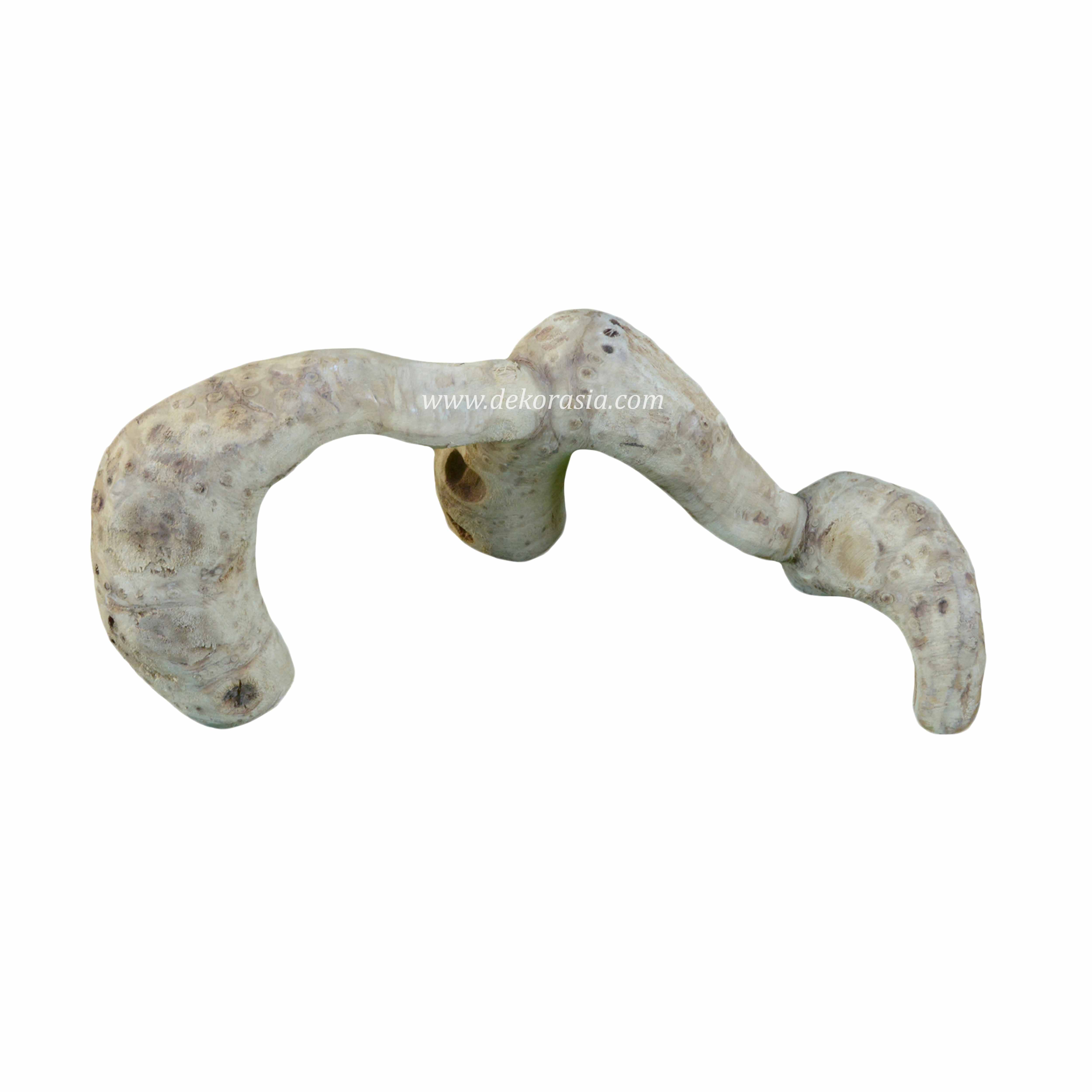 Bamboo Root (Size XS) Vivariums Reptile, Aquarium, Aquascaping, Bamboo Root Decor for Reptile